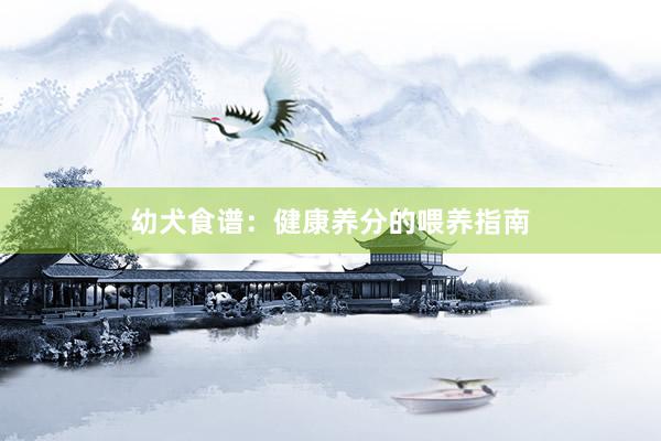 幼犬食谱：健康养分的喂养指南